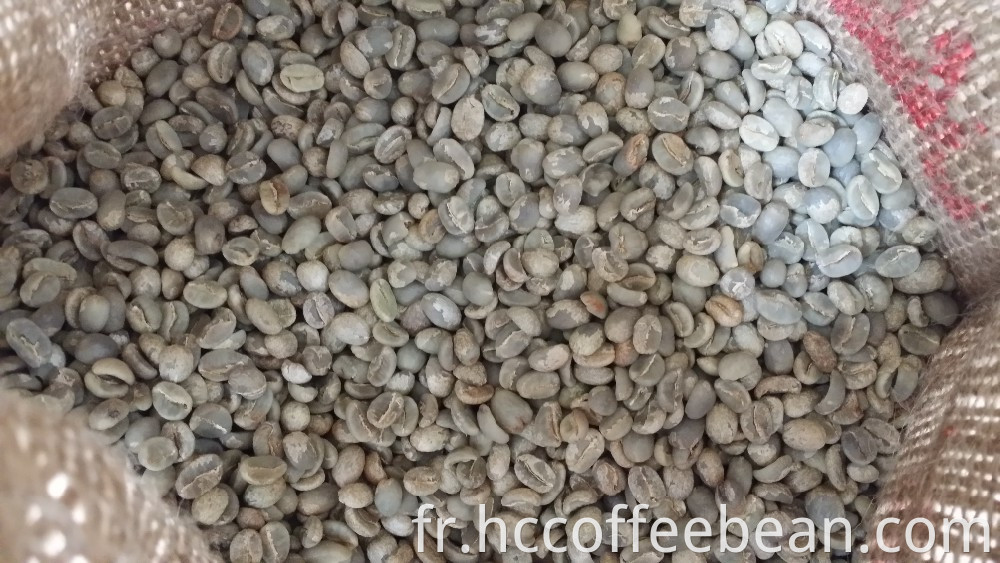 conteneur d'exportation de grains de café vert
